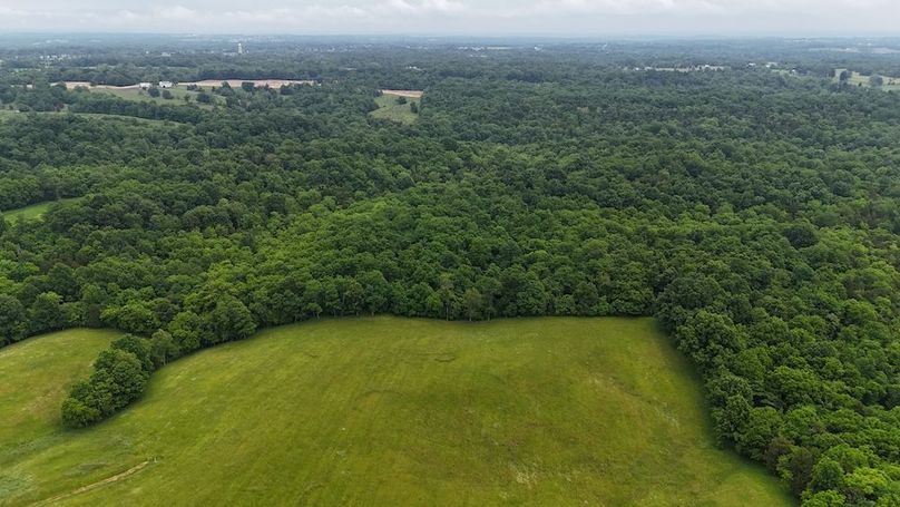 DJI_20250605131315_0643_D