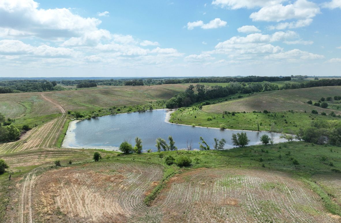 dji_fly_20230625_114034_445_1687717370476_photo