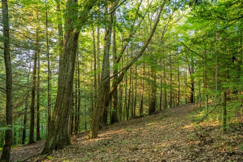 susquehanna PA 150 Featured_Pro Photo-47