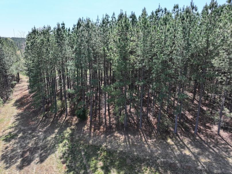 dji_fly_20260325_120956_0672_1774539236995_photo