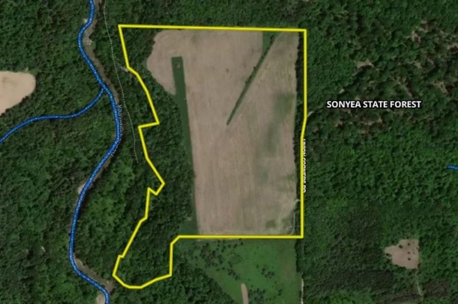 Land Id Wetland