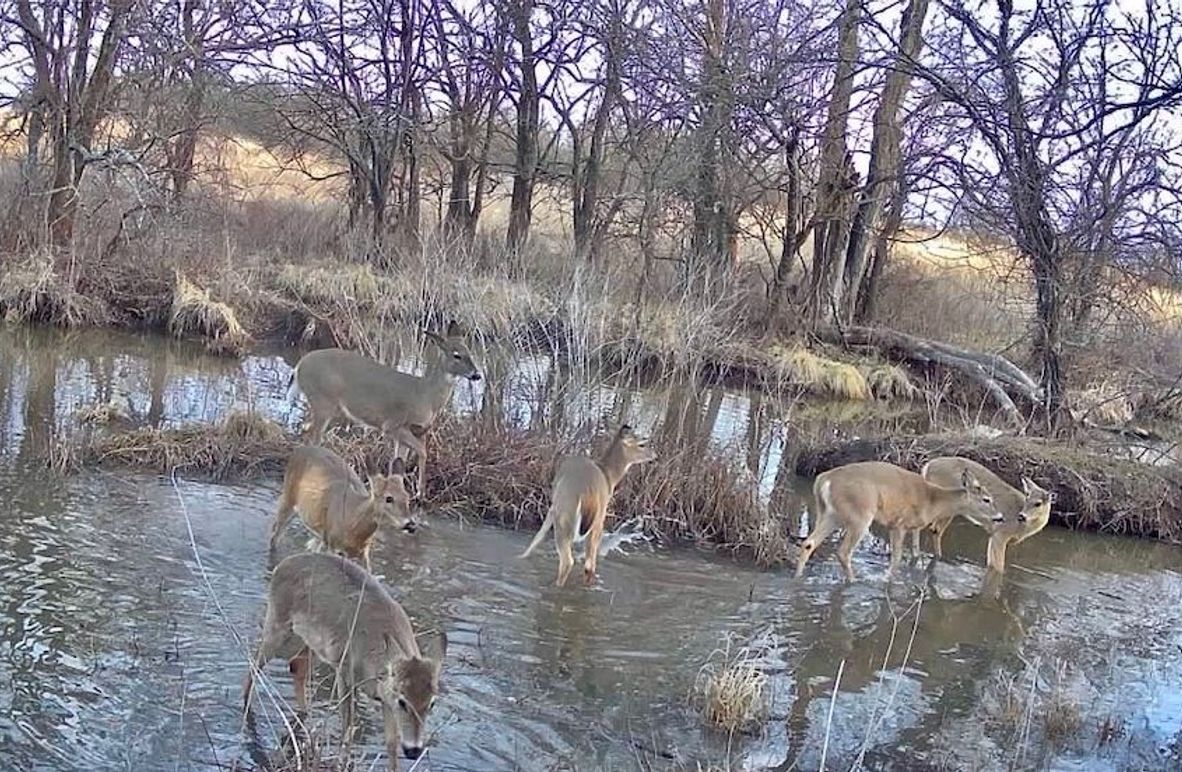 016579008249430-99-3-02192026072036-SYFW04768