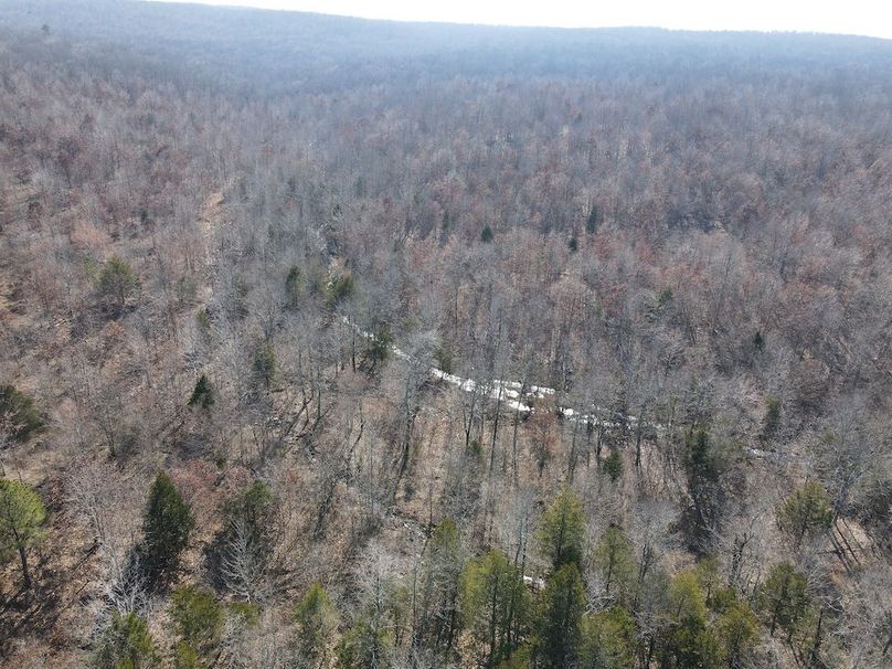 dji_fly_20250213_142154_2_1739478125699_photo