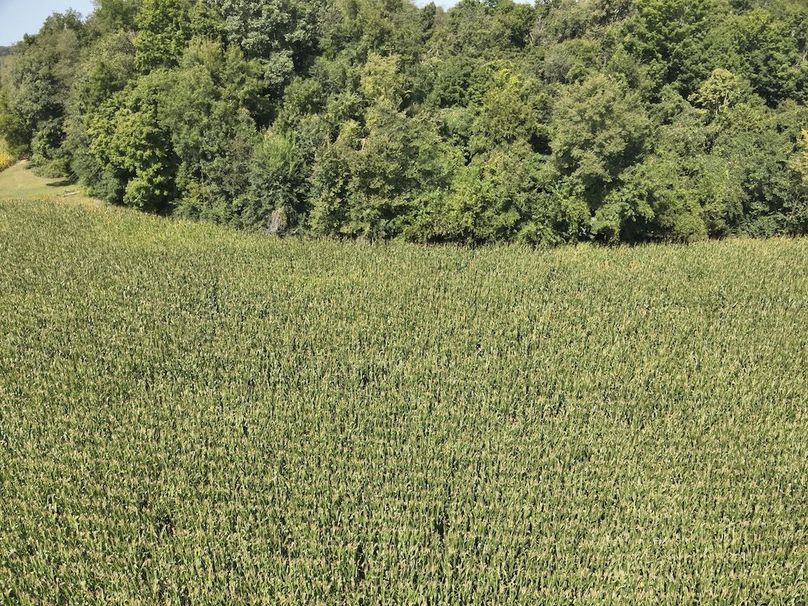 DJI_20240823235603_0017_V