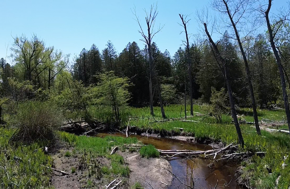 2024-05-15-13-54-12-362