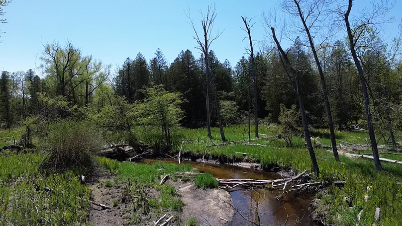 2024-05-15-13-54-12-362