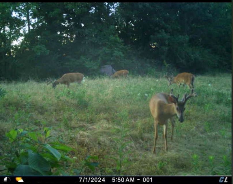 Screenshot 2025-12-21 at 7.25.50 PM