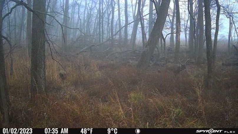 889B3EB0-38D0-4FED-9752-3508C38E2DD5