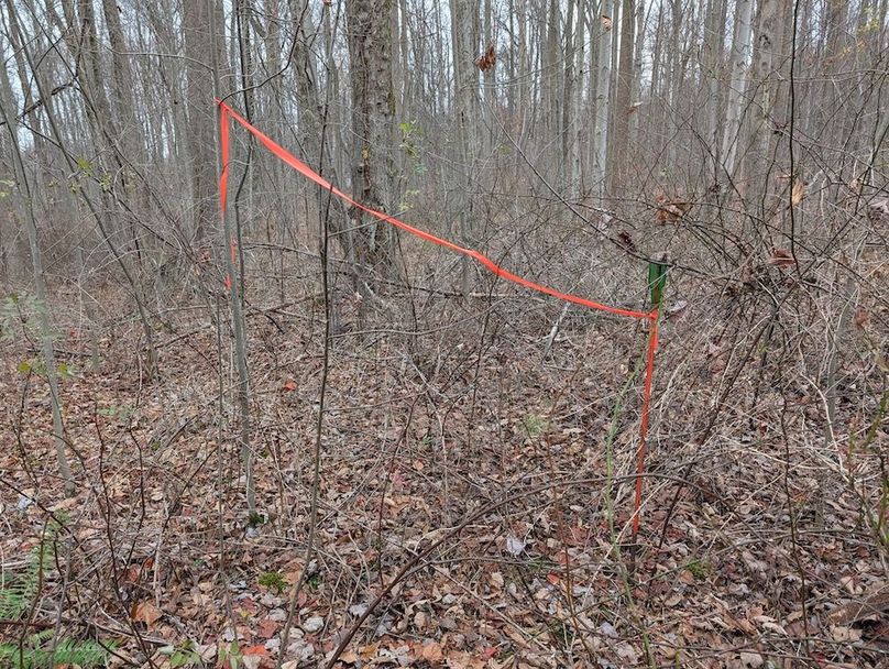 PXL_20251120_191139286