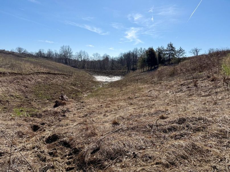 Fleming Petry 120-060