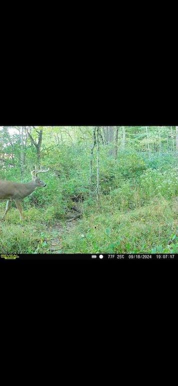 Screenshot 2026-02-27 at 4.15.56 PM