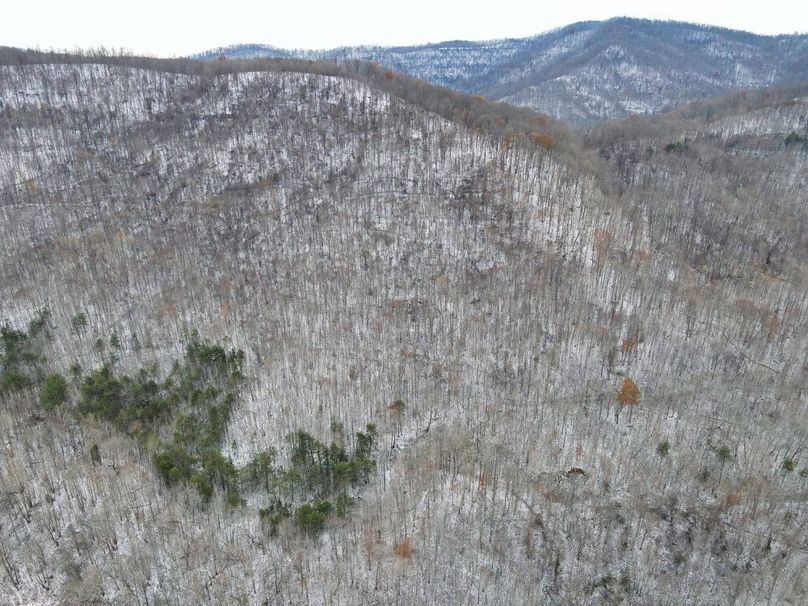 022 aerial view looking down on the timber ground-2