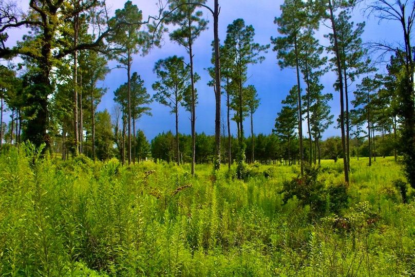 A62ABD17-EBF0-447C-89AF-8DDA1C125553_1_105_c