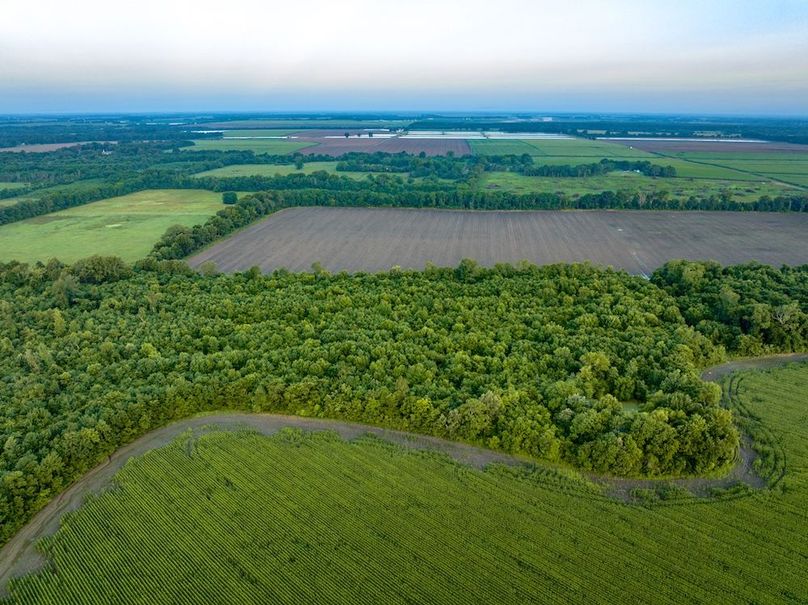 Copy of Noxubee 112.1 +- Tract 1-12