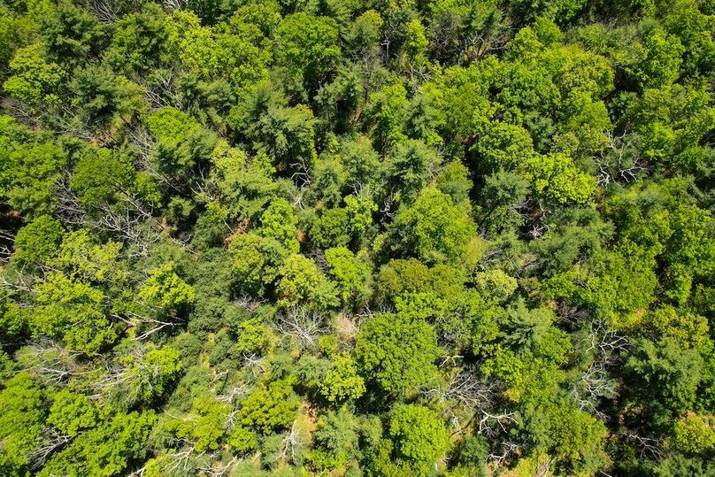 dji_fly_20250512_130526_979_1747069845393_photo