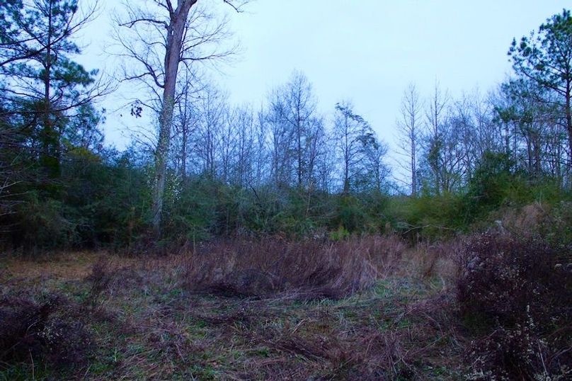 6157AE54-93E1-4B7A-A0C0-631225DA7BB5_1_105_c