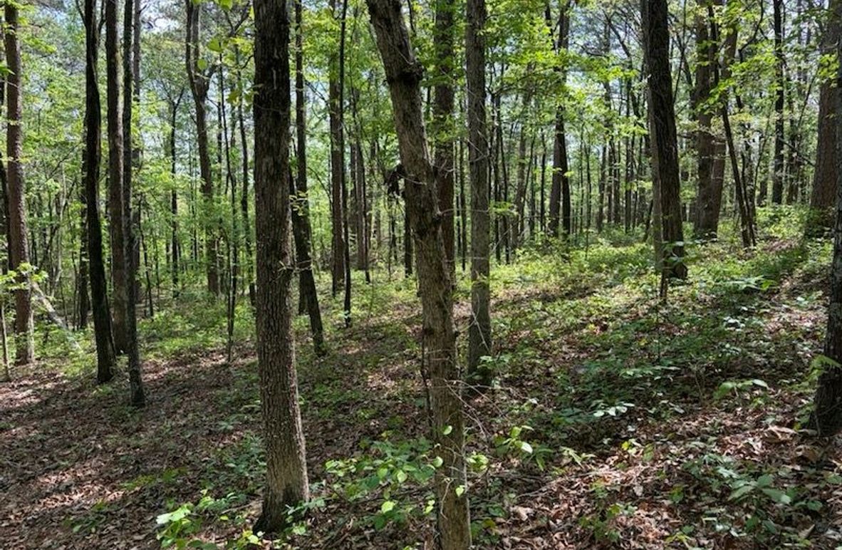 2AF40A1A-628B-4587-8157-065CEE9143A6_1_105_c