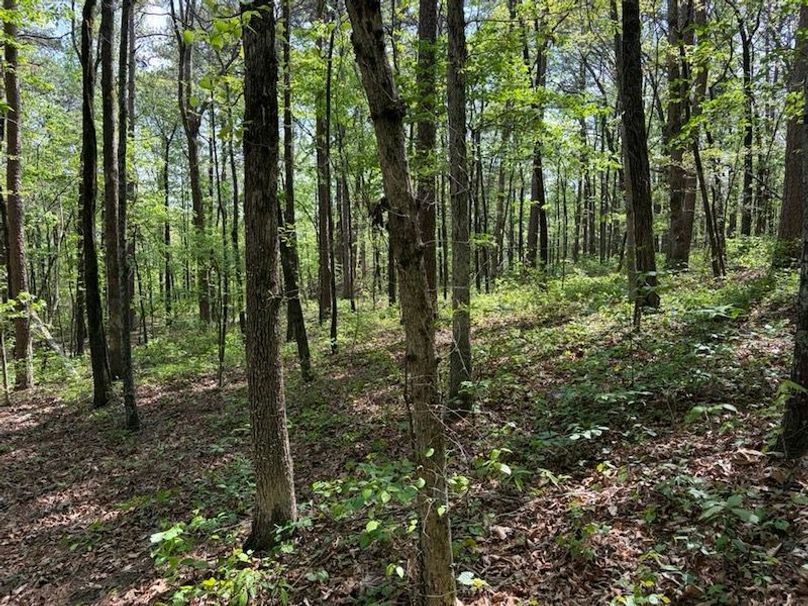 2AF40A1A-628B-4587-8157-065CEE9143A6_1_105_c