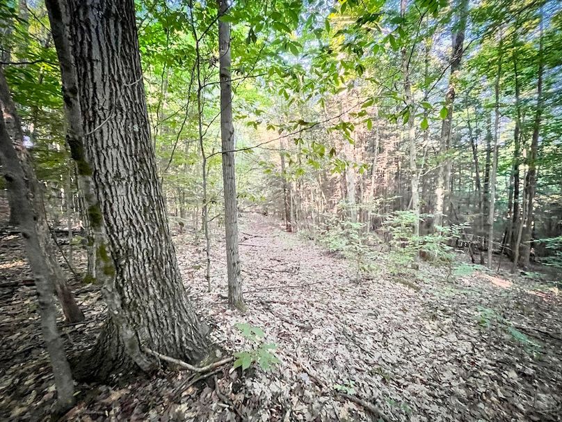 Tioga_82.5_Williams_Photos_27