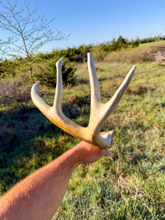Pratt 153.8 (67)