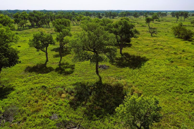 DJI_0073-Steves-Laptop