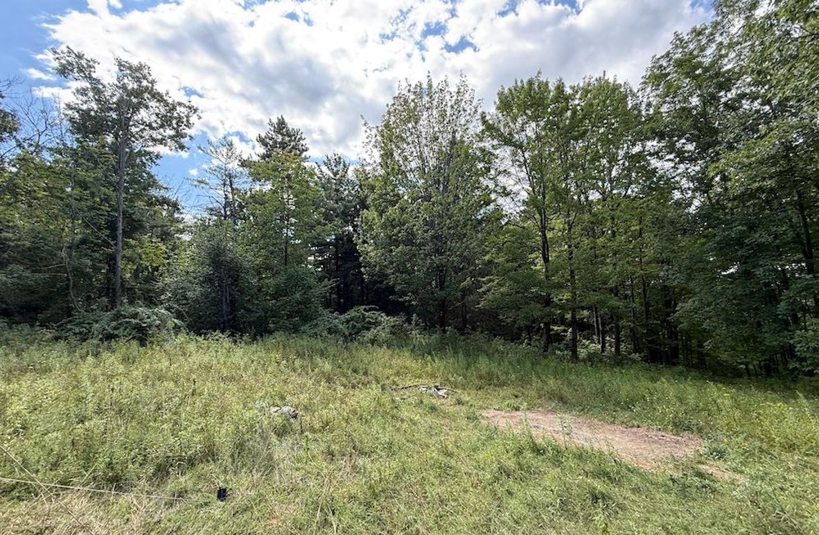 Ontario_2.7_Proseus Photo 5