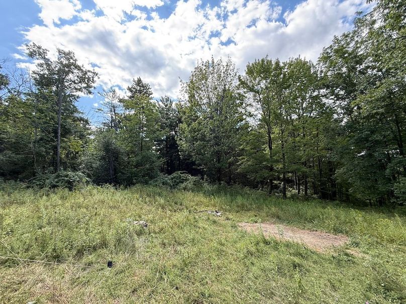 Ontario_2.7_Proseus Photo 5