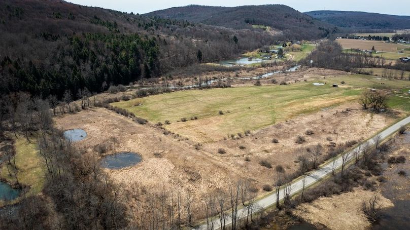 Tioga__NY_109.7_Burris_Photos_93