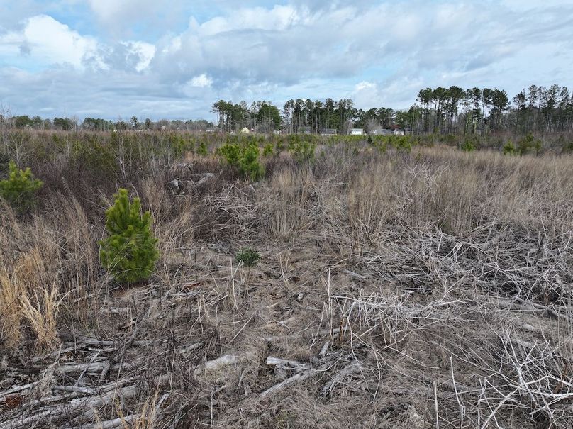 DJI_20240305095649_0046_D