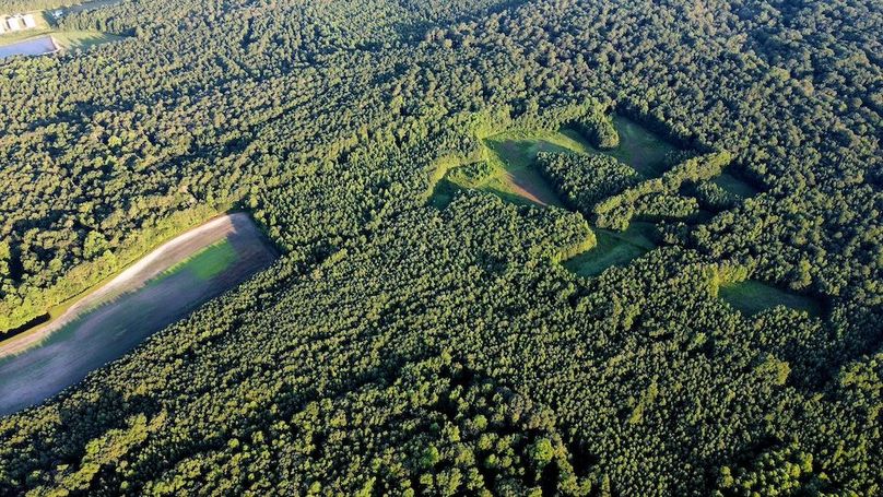 dji_fly_20250726_071732_487_1753528669832_photo_optimized