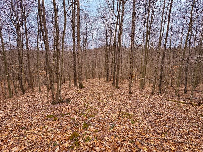 Tyler, WV 90 AC Burkhart-38