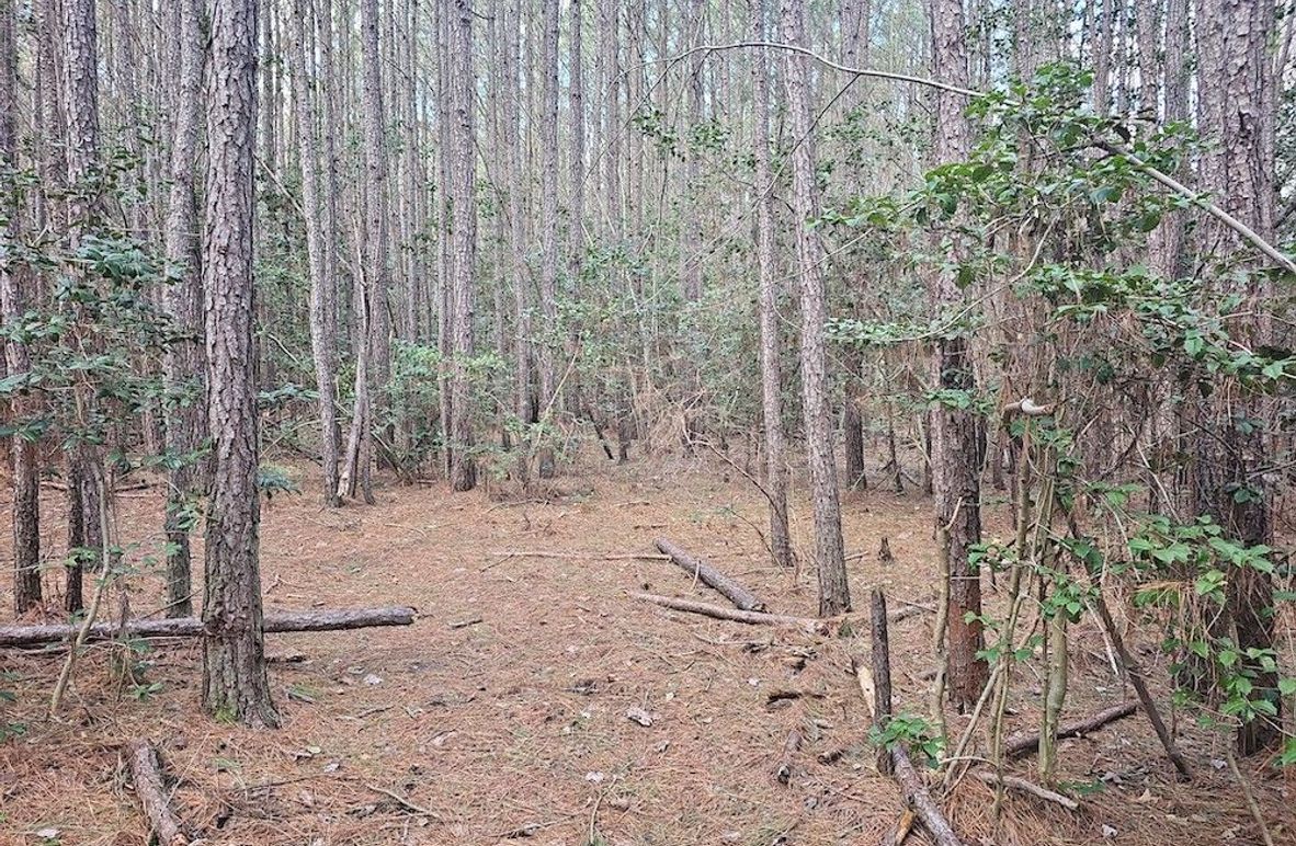 Romancoke_QAnnes_PIC_05