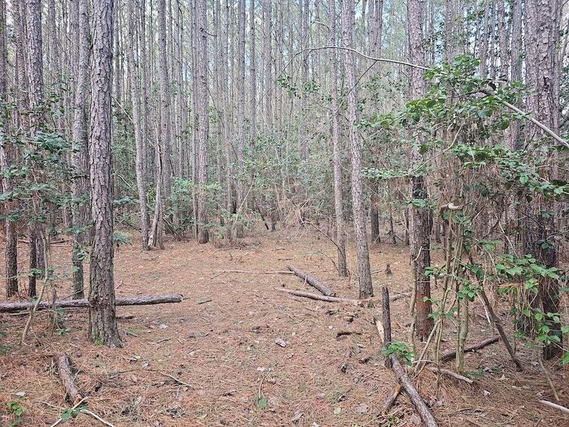 Romancoke_QAnnes_PIC_05