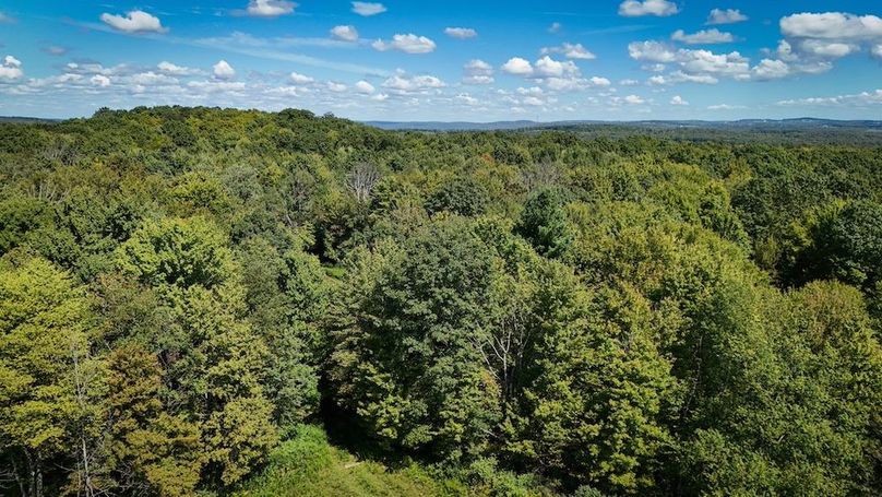 Tioga NY 64 Shores 9