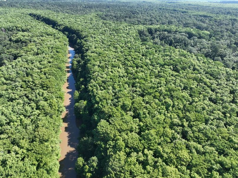 dji_fly_20260513_102352_448_1778687611008_photo