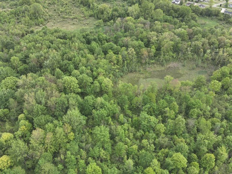 DJI_20250520064411_0018_V