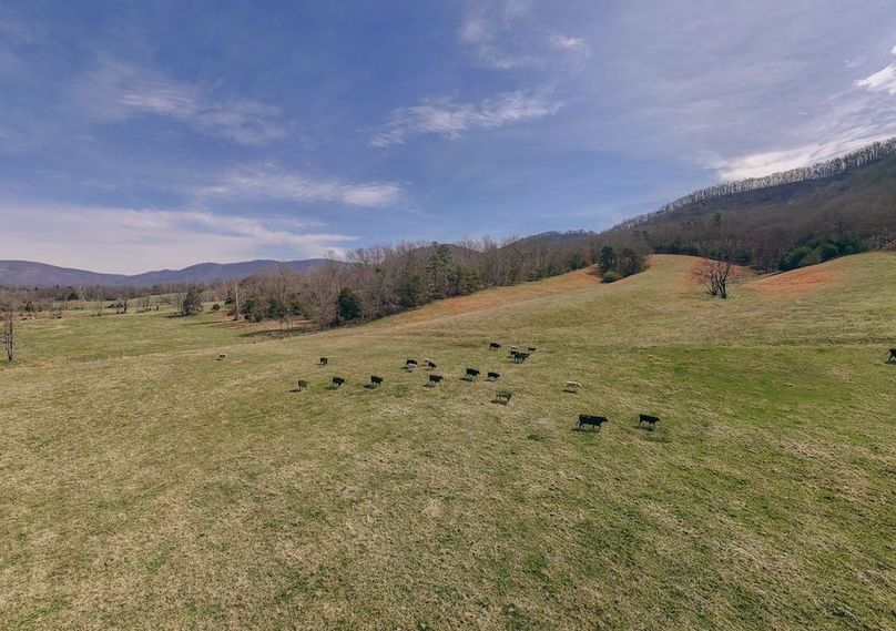 DJI_20260325115126_0080_D