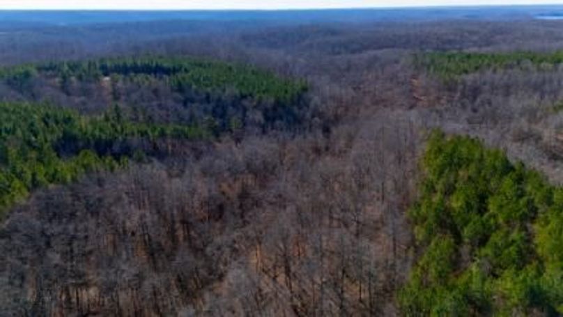 MCKINNON TRACT 29-14