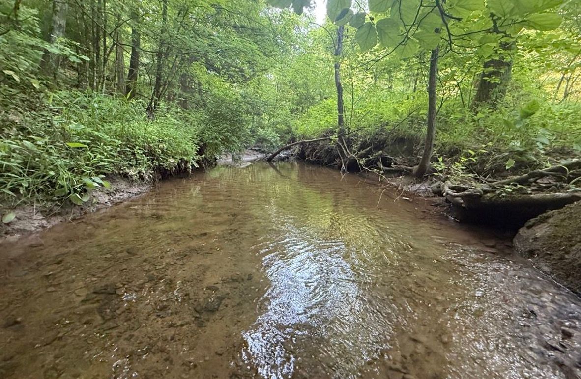 002 the blue line stream flowing to the north near the north boundary-2