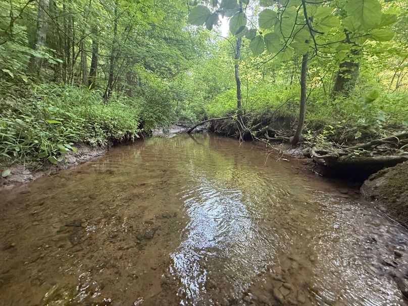 002 the blue line stream flowing to the north near the north boundary-2