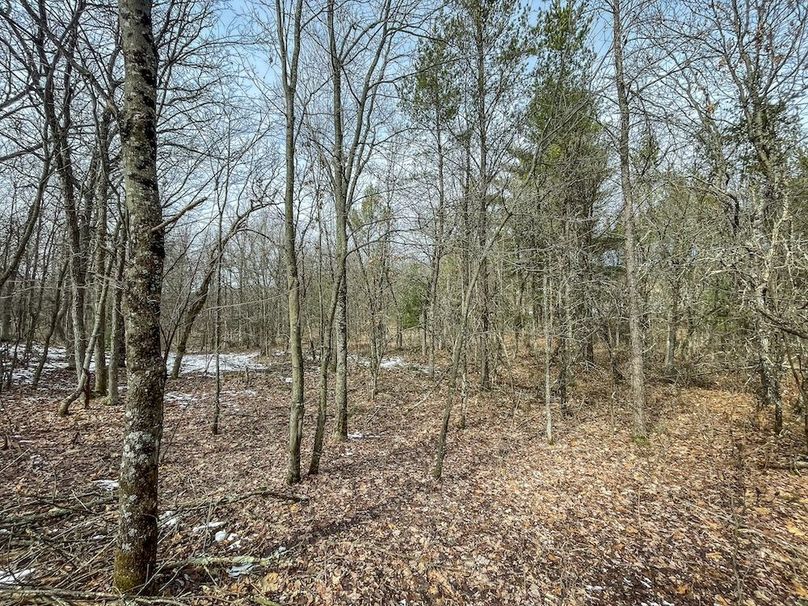 Adams 10.06 Johnson-33