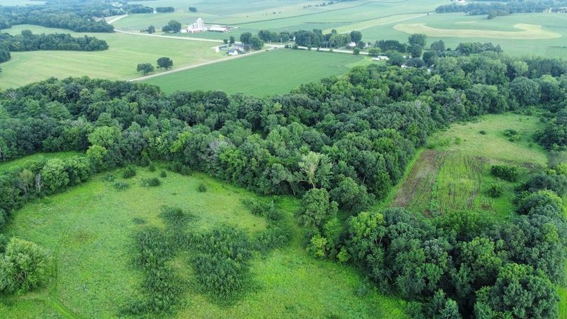 dji_fly_20240715_181914_678_1721085561183_photo_optimized