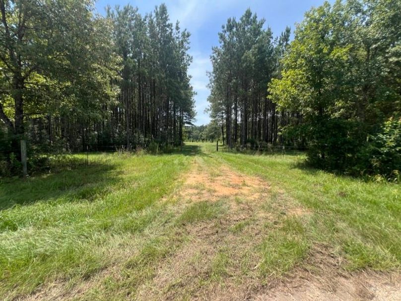 8F5DDD52-416F-4AD2-8D83-B484F3627BF8_1_105_c