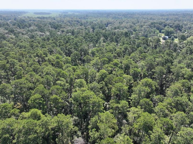 dji_fly_20250826_104612_0384_1756227532951_photo