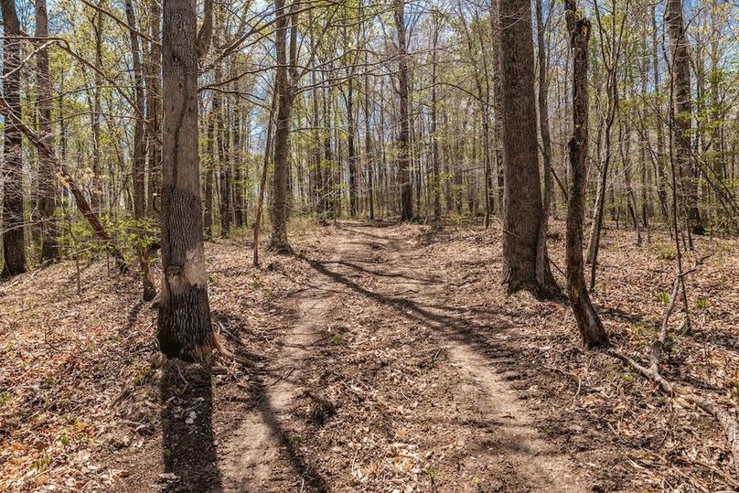 41-web-or-mls-0 Mound Creek Rd-11