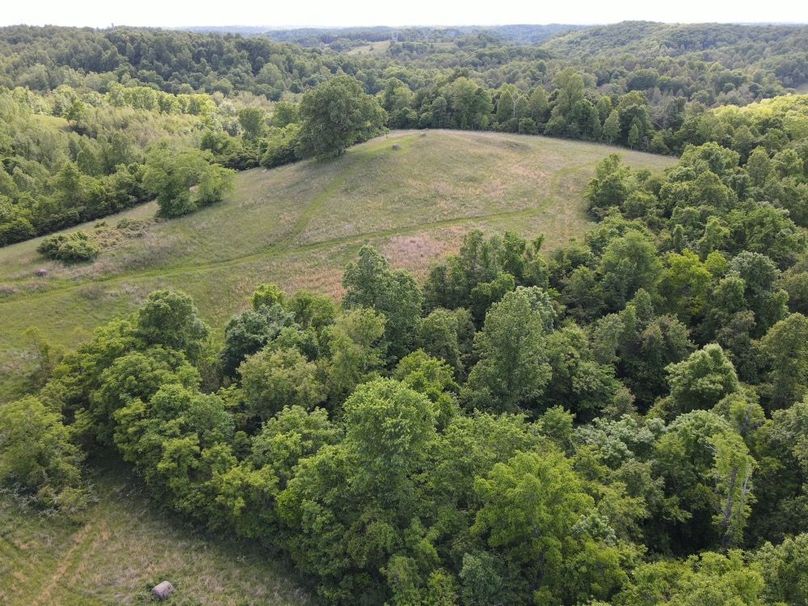 DJI_0133_W