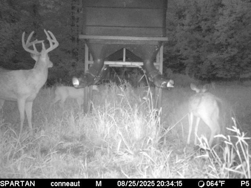 File Aug 25 2025, 8 35 38 PM