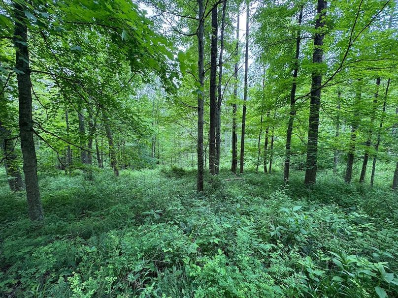 Pleasants, WV 168.59 AC Superior, Swank, Young-083