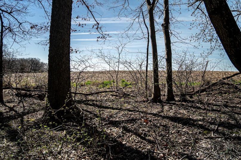 Jo Daviess IL 23.5_24