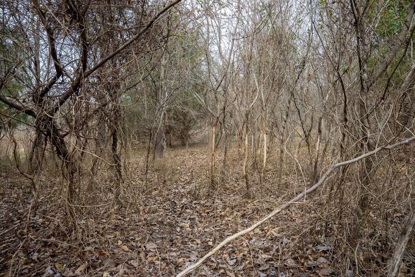 Copy of DSC00764 Large